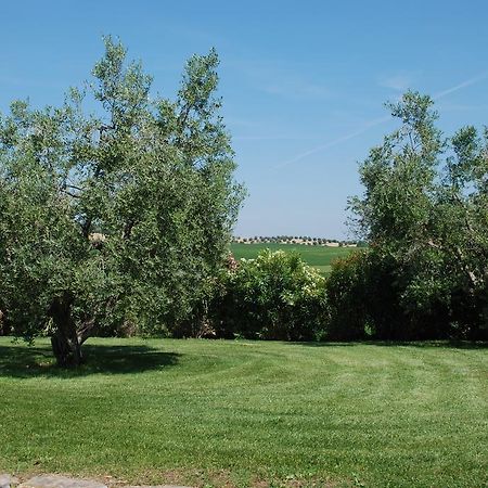 Agriturismo Le Coccinelle Pensjonat Magliano in Toscana Zewnętrze zdjęcie