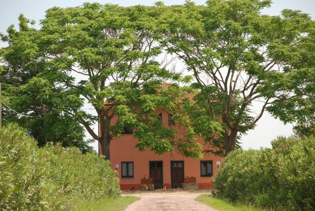 Agriturismo Le Coccinelle Pensjonat Magliano in Toscana Zewnętrze zdjęcie
