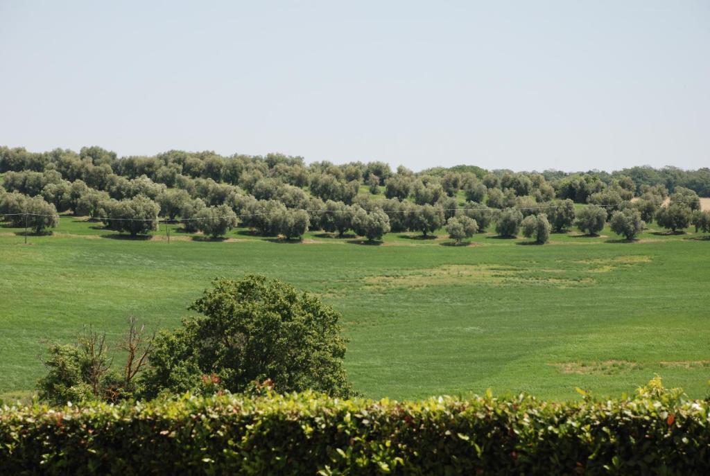 Agriturismo Le Coccinelle Pensjonat Magliano in Toscana Zewnętrze zdjęcie