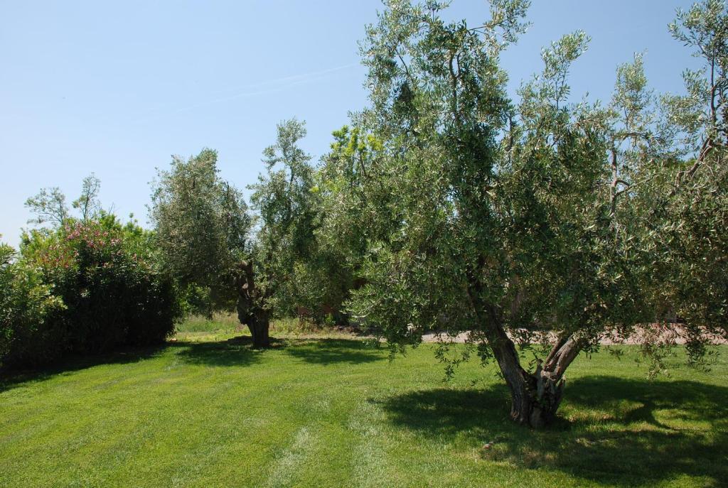 Agriturismo Le Coccinelle Pensjonat Magliano in Toscana Zewnętrze zdjęcie