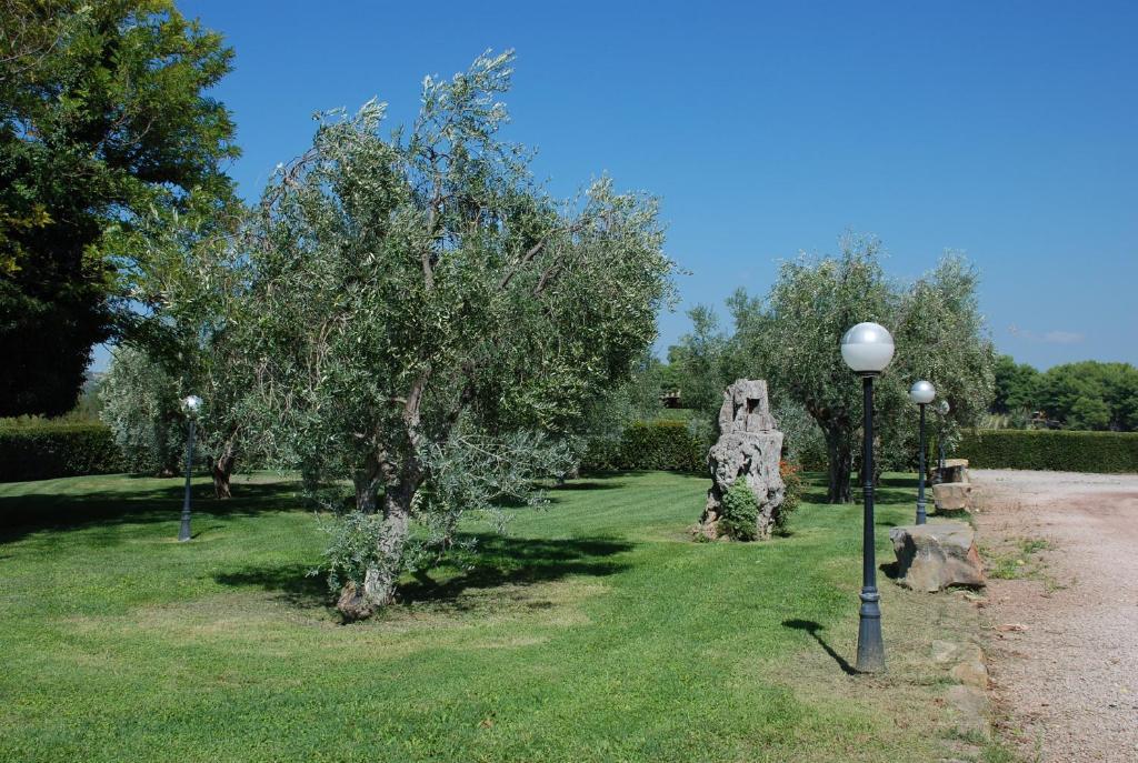 Agriturismo Le Coccinelle Pensjonat Magliano in Toscana Zewnętrze zdjęcie