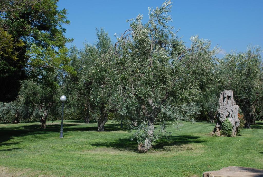 Agriturismo Le Coccinelle Pensjonat Magliano in Toscana Zewnętrze zdjęcie