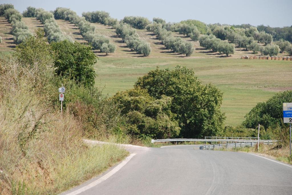Agriturismo Le Coccinelle Pensjonat Magliano in Toscana Zewnętrze zdjęcie