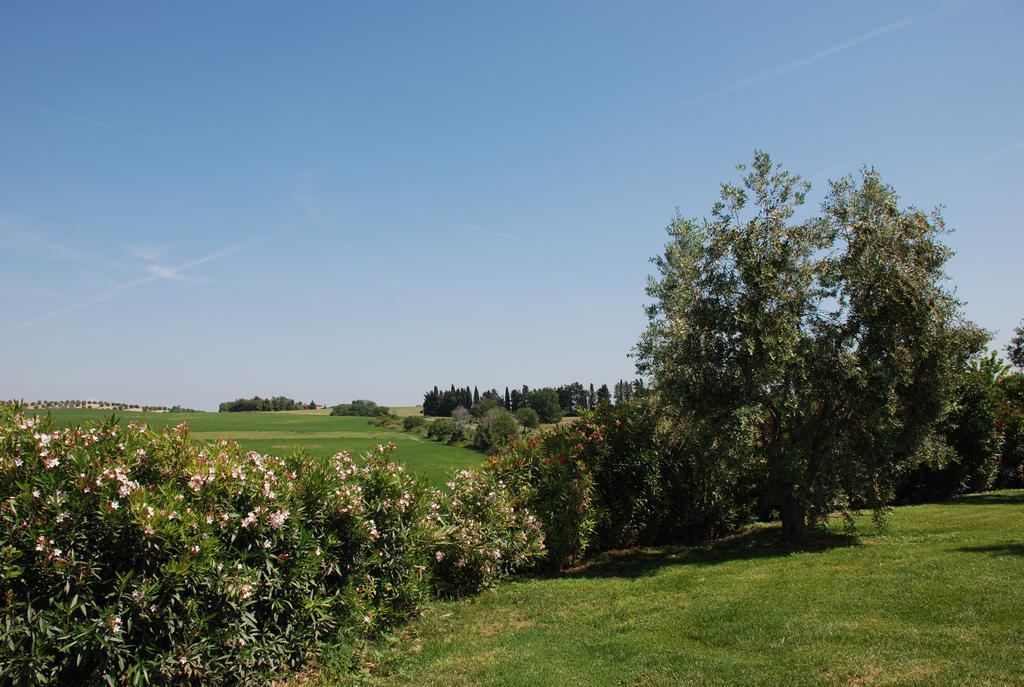 Agriturismo Le Coccinelle Pensjonat Magliano in Toscana Zewnętrze zdjęcie