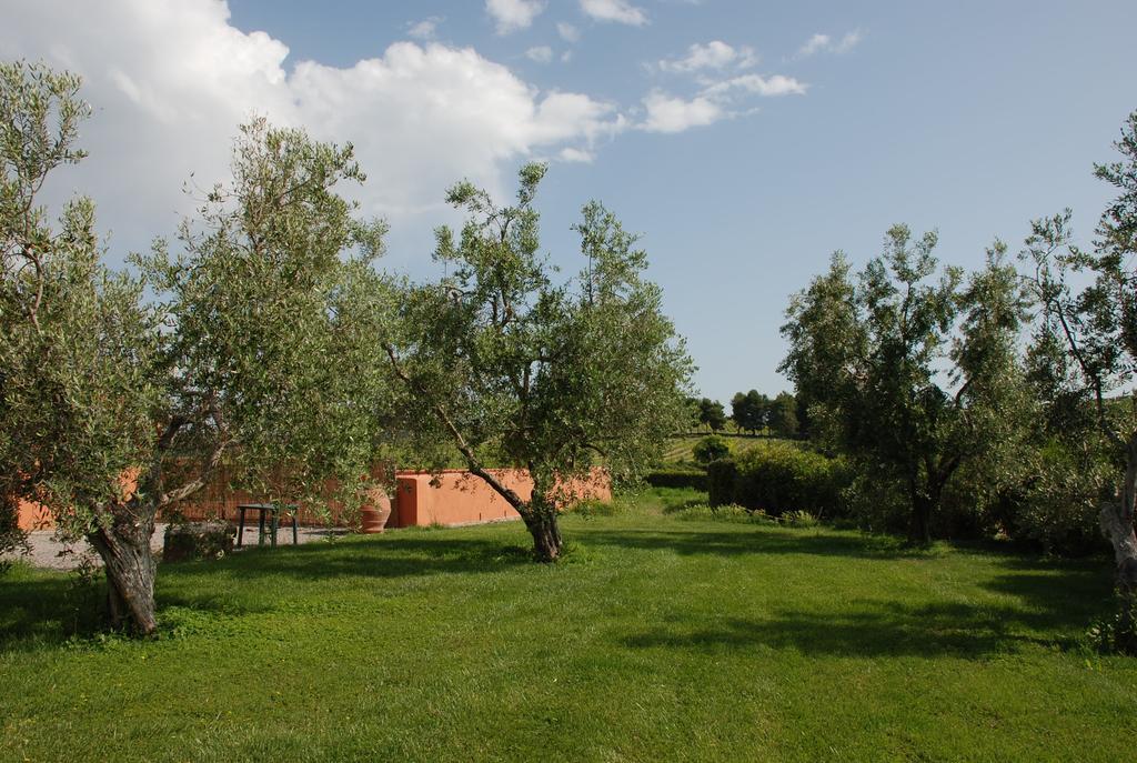 Agriturismo Le Coccinelle Pensjonat Magliano in Toscana Zewnętrze zdjęcie
