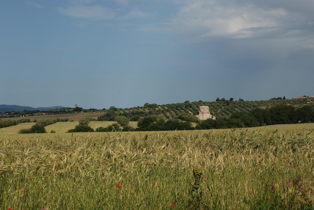 Agriturismo Le Coccinelle Pensjonat Magliano in Toscana Zewnętrze zdjęcie