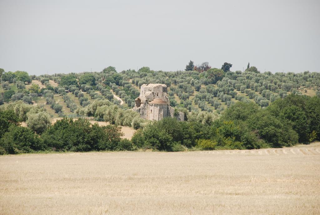 Agriturismo Le Coccinelle Pensjonat Magliano in Toscana Zewnętrze zdjęcie