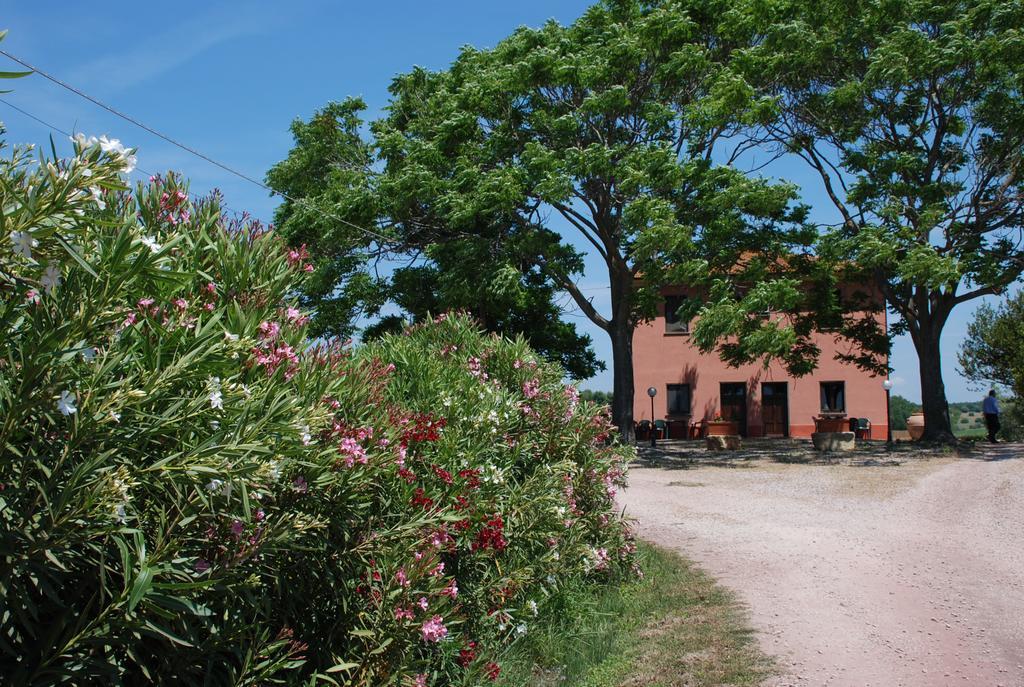 Agriturismo Le Coccinelle Pensjonat Magliano in Toscana Zewnętrze zdjęcie