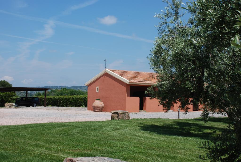 Agriturismo Le Coccinelle Pensjonat Magliano in Toscana Zewnętrze zdjęcie